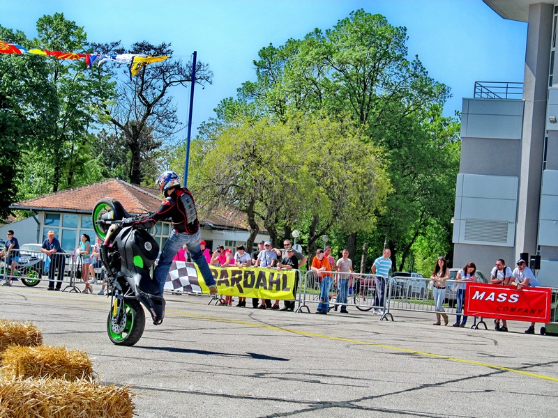 Darko Prokin - Batajnica 2013