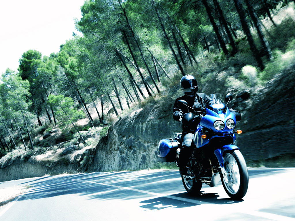 Triumph Tiger 2006