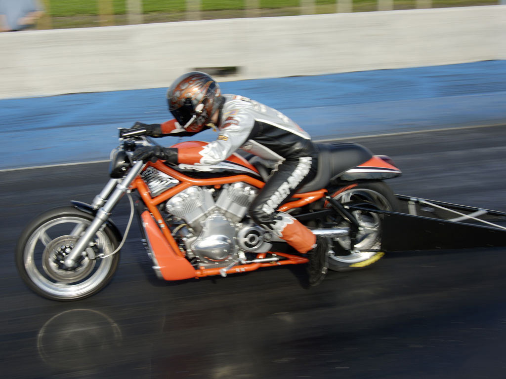 Harley-Davidson Screamin