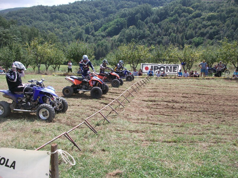 Punoevii 2014