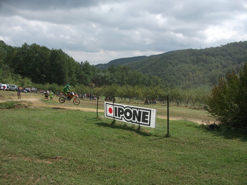 Punoevii 2014