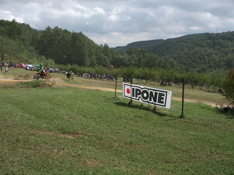 Punoevii 2014