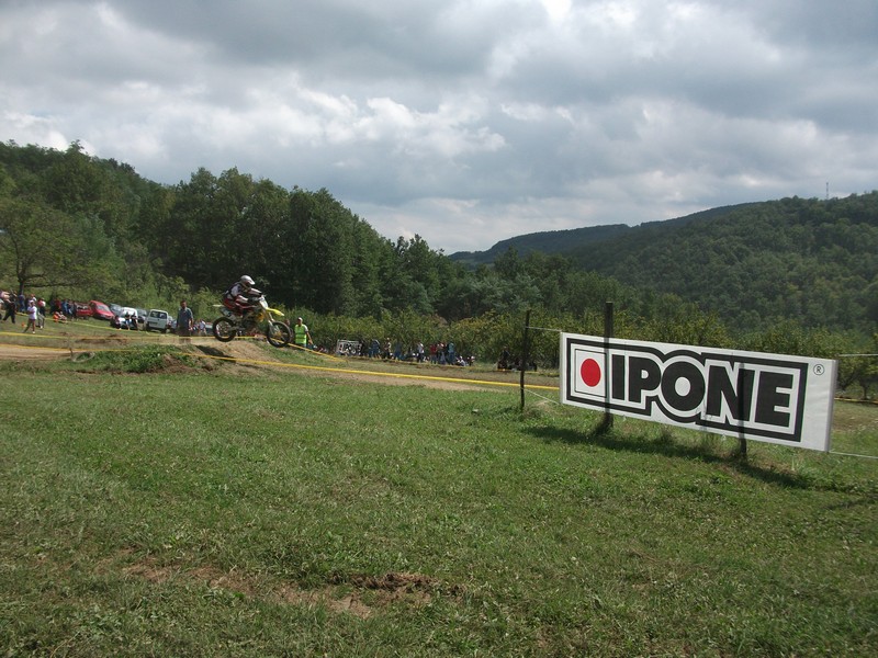 Punoevii 2014