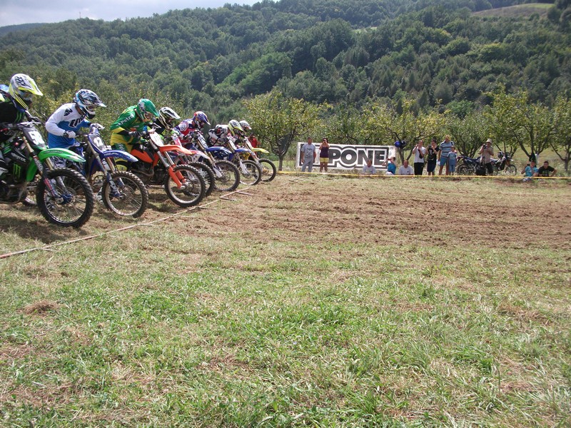 Punoevii 2014