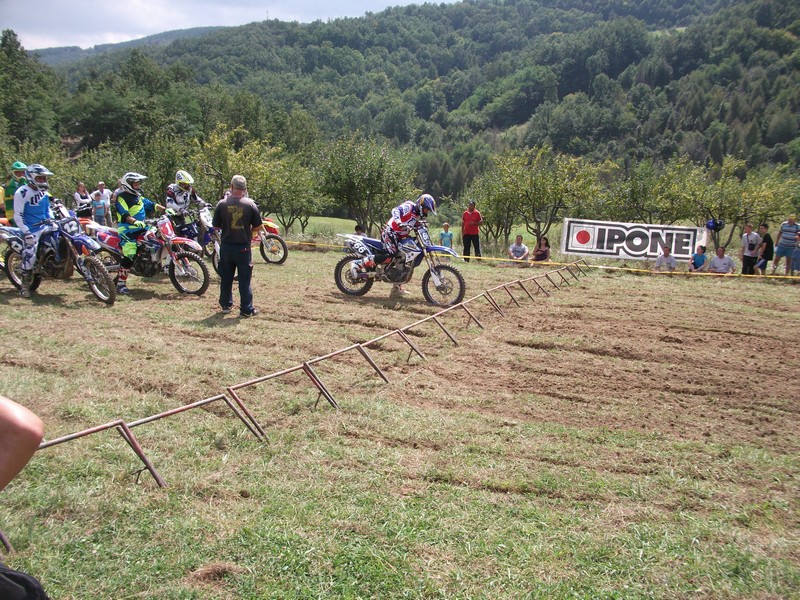 Punoevii 2014