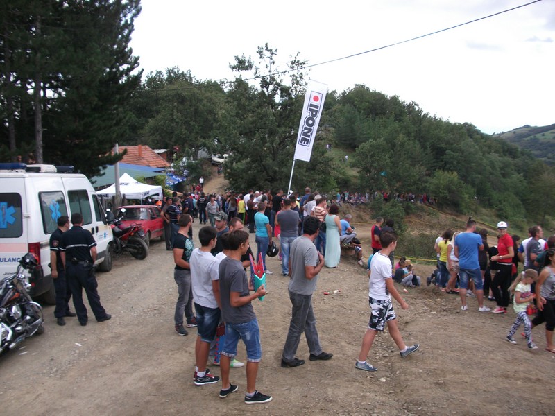 Punoevii 2014