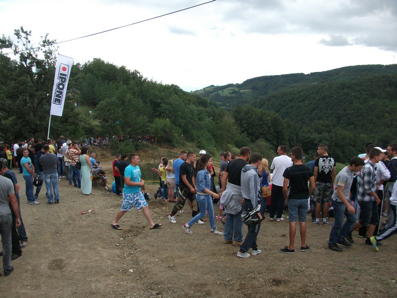 Punoevii 2014