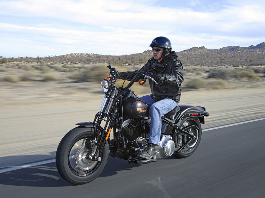 FLSTSB Softail Cross Bones