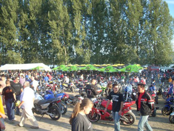 Futog 2008