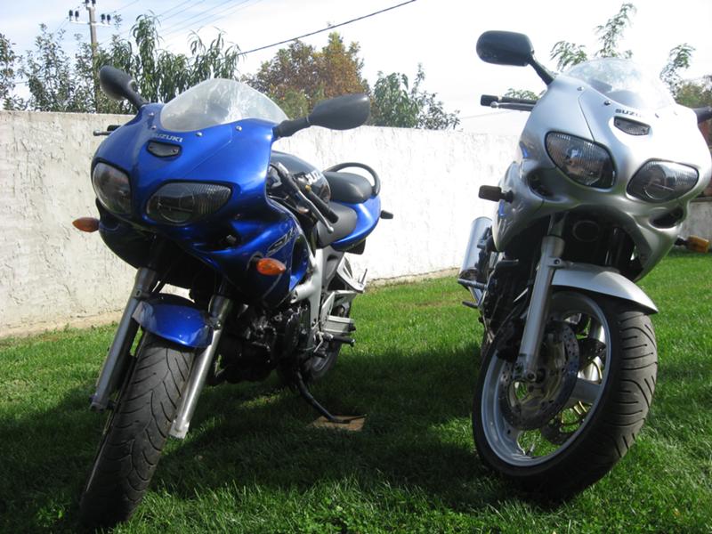 Suzuki SV 650 - Aleksandar-2