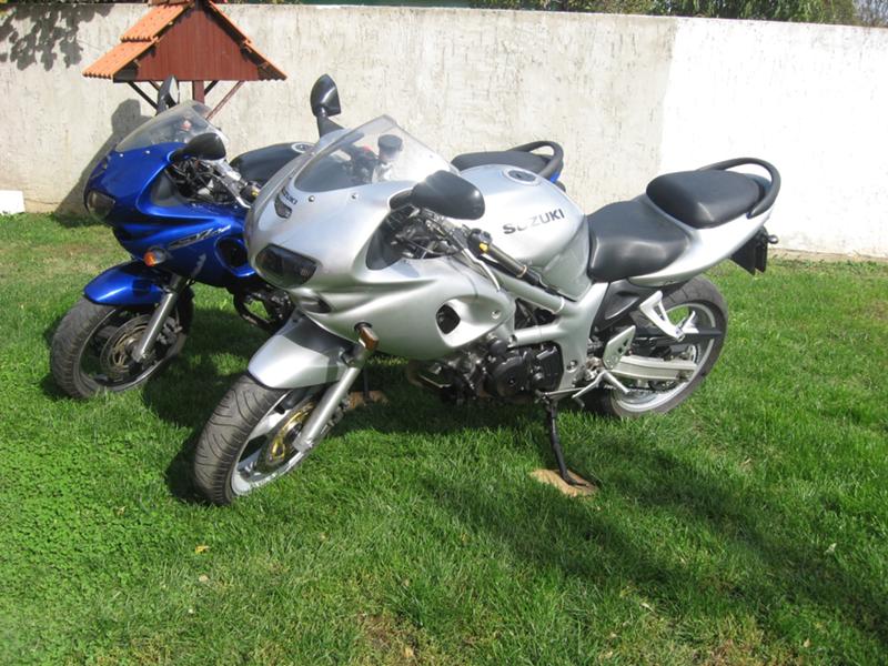 Suzuki SV 650 - Aleksandar