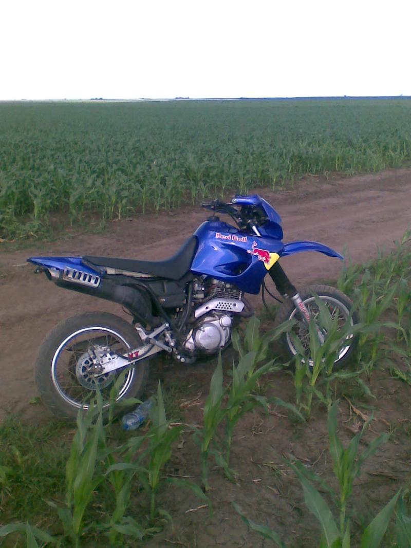 Yamaha XT600 - Petar