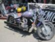 110 godina H-D