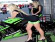 Paddock girls 2009