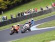 MotoGP Phillip Island 2009