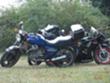 Moto Skup 2009