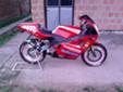 Cagiva - Toman Danijel