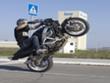 Srpski stunter - Marko Brkić