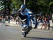 Srpski stunter - Milan Tošić