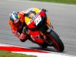 MotoGP Sepang