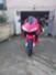 Honda - CBR 600 RR