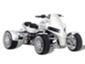 BMW - GG Quadster