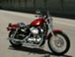 Harley Davidson - Sportster 53