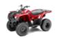 Yamaha - Grizzly 300