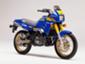 Yamaha - TDR 250
