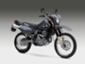 Suzuki - DR 650SE