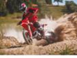 Dunlop Geomax standard na Beta trial i MX modelima