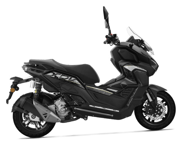 Vieste 300XDV